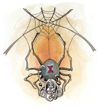 http://dndragon.narod.ru/drow/Lolth_symbol.jpg